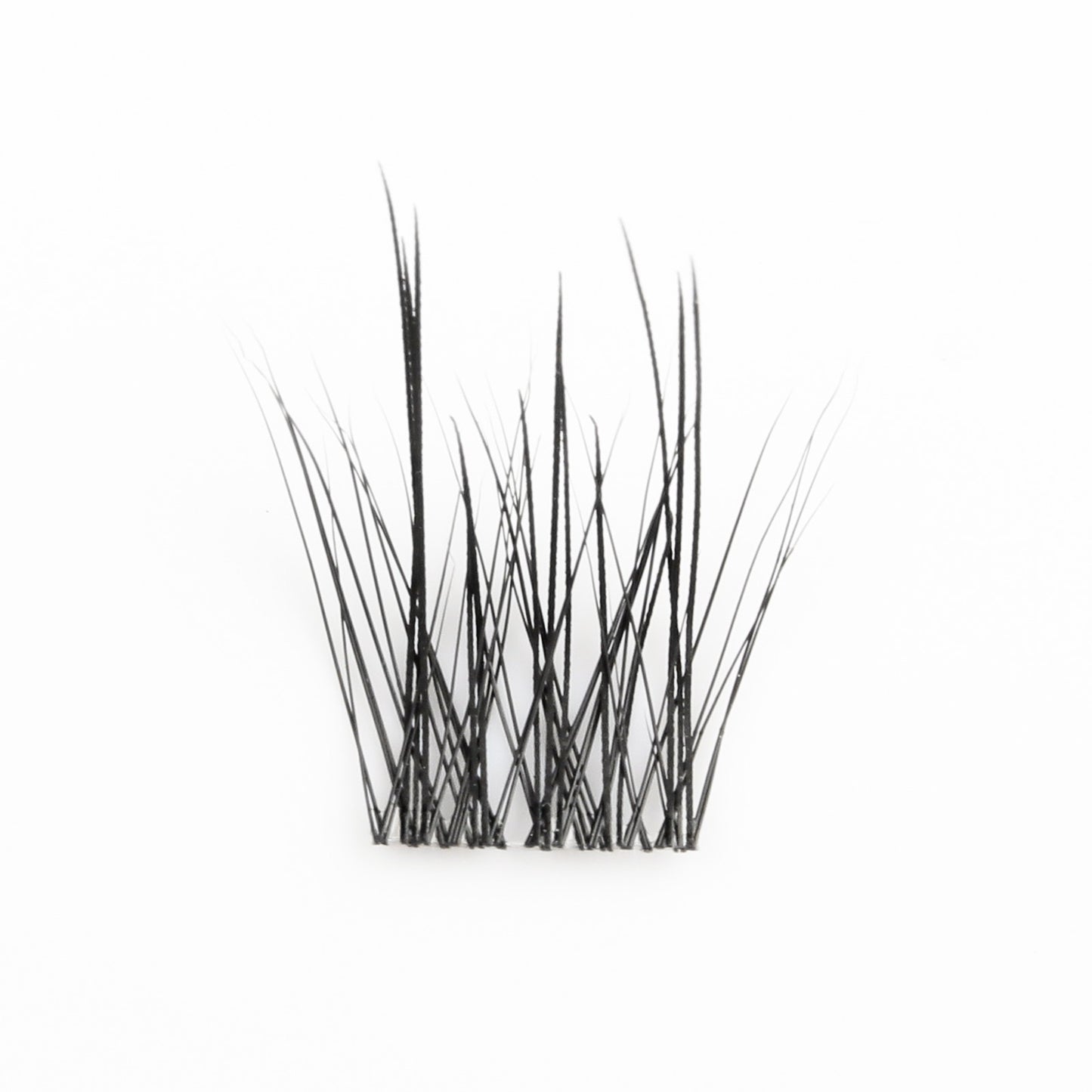 Lumina-Angel Wispy Collection