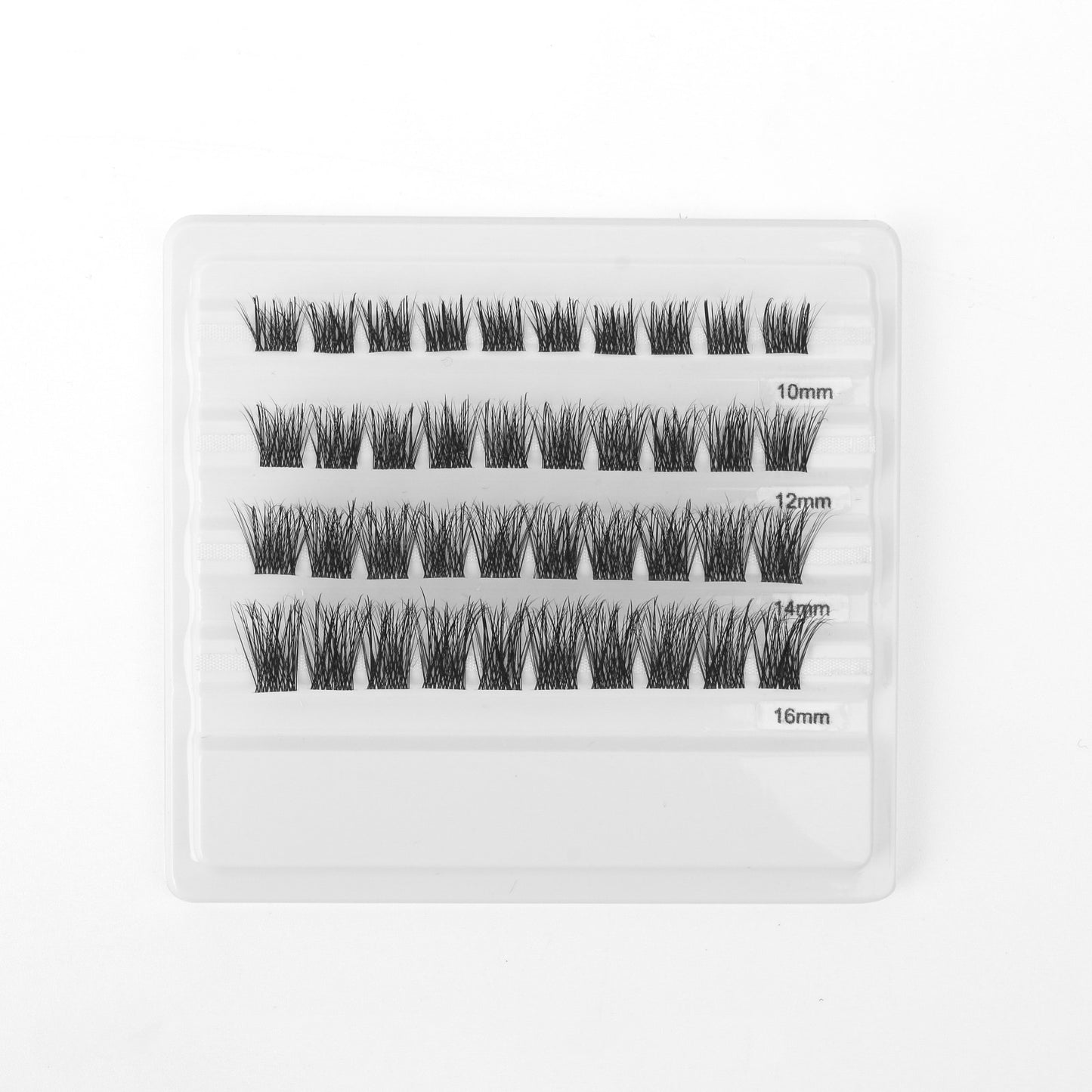 Celeste-Angel Wispy Collection